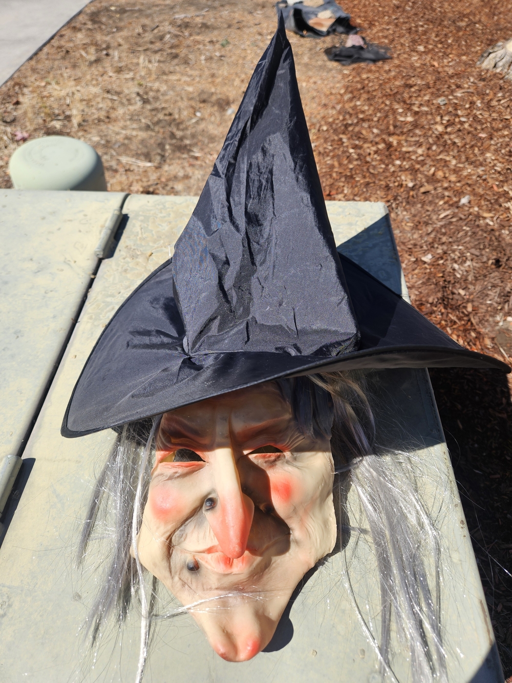 Black Witch Hat and Mask Costume Accessory Set